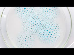 Evaporation, entropy and the Marangoni effect