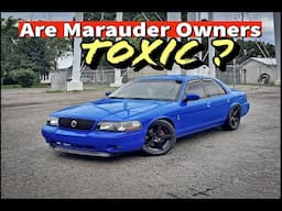 The Most TOXIC Members of the Panther Community??