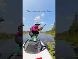 Backcountry paddling YouTube BTS 🎥🏕️ #paddleboarding