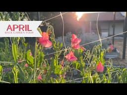 April Back Garden Tour! Early Morning Spring Garden Walk Through ☀️