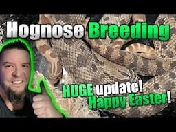 Happy Easter! HUGE breeding update. GREAT NEWS!