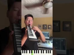 Tocando Rat Dancing Meme en mi Melódica Económica #short