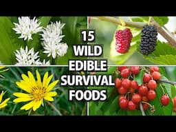 15 Wild Edible Plants, Fruits and Trees for Wilderness Survival