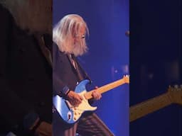 Carl Baldassarre - 🎸 Guitar Solo - Sycamore Running