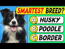 Are You a Dog Expert? | 40 Question Quiz for TRUE Dog Lovers 🐶🧠