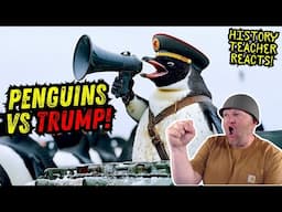 Democratic Penguins Republic vs Trump | History Teacher Reacts | demonflyingfox