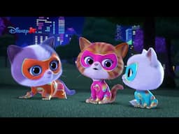 🦴 Kości dinozaurów | Superkoty | Disney Junior Polska