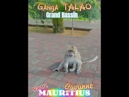 Ganga Talao Grand Bassin Mauritius #mauritiustravel #mauritius #mauritiusexplored #gangatalao