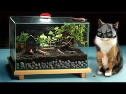 900 DAYS WITHOUT FOOD – ECOSYSTEM IN A SEALED TERRARIUM I FINAL VIDEO