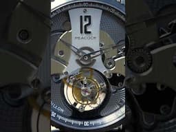 Peacock Watches Witness Tourbillon - Stunning Value, Full Review Friday!