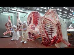 Amazing Butchering Meat Process! Korean Cow Butcher Skill