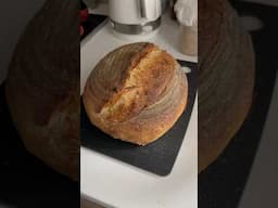 Sourdough Bread success #shorts #kiwi #tokyo #japan