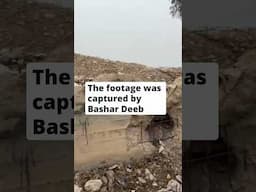 Syrian journalist returns to his devastated homeland | openDemocracy