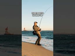 Surfcasting Striped Bass on the Jersey Shore #shortsvideo