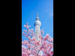 Time For Japan