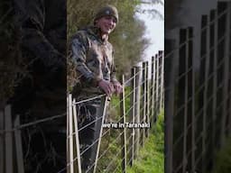 Pig Hunting Taranaki - Hunting Aotearoa Ep2 S19