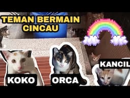CINCAU KEDATANGAN TEMAN MAIN, RAME BANGET! (PART I)
