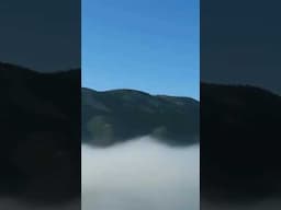 Strange Creature on Navajo Tribal Land #mogollonmonster #bigfoot  #skunkape