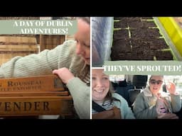 Sister’s Day Out: Exploring a Hidden Gem & Dublin’s Botanic Gardens!