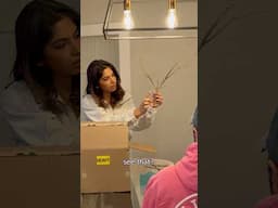 I bought branches on the internet  #prank #funny #shorts