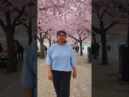 തണുത്ത വെളുപ്പാൻ കാലത്തെ cherry blossomഷൂട്ടിംഗ്!#malayalamvlog #sweden #trending #sakura #stockholm