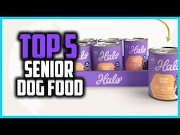 ✅Top 5 Best Senior Dog Food in 2025