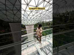 Top 10 Things To Do at Singapore Airport #singapore #changiairport #travel #shorts #ashortaday