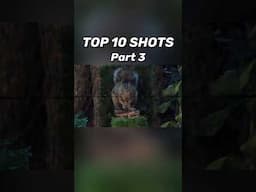 Top 10 Shots with the EDgun Leshiy 2 (Part 3)