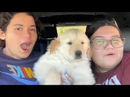 We Got a Puppy!