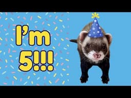 It’s Simon’s 5th birthday!!