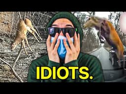 Deer are F*cking Stupid