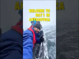 Antarctica me WHALES itni paas se dekhin 🐳 🥹🥹🥹 #shorts