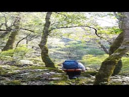 I Went Jungle Camping and Something Unexpected Happened  #camping #food cooking #bigtent #mountains