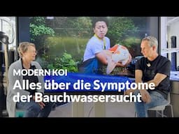 Sandra hat ein Anliegen: Bauchwassersucht | Modern Koi Blog #7348