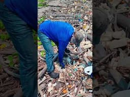 The Sad Reality of Plastic Pollution On The Ocean