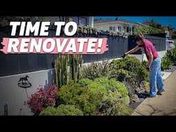 Pacific Beach Succulent Garden Renovation