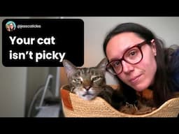 I fed 214+ cats and learned this