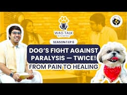 Overcoming Paralysis Twice and Healing Stronger Each Time @furballstory