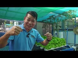 AQUAPONICS GARDEN NI AGRI-KAGAWAD #gardening #farming #garden