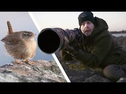 The Secret Life of a Bird Photographer