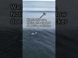 How Surfers Read Waves #surf