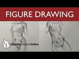 Drawing The Figure With Anatomical Landnarks