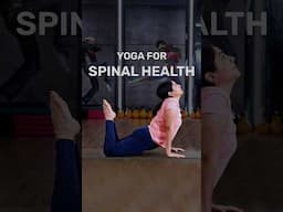 Yoga For Spinal Health | Yoga For Back Pain | #shorts #YogaForSpine