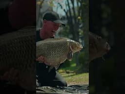 Alan Blair’s wildest carp fishing adventure yet! 🎣🇯🇵
