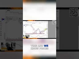 Understanding Market Movements: The Four Stages Explained