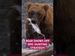 Bear shows off epic hunting strategy!