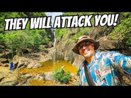 They Will Attack You In Koh Chang!!
