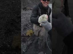 "Nice job man!" 🎣🇮🇸