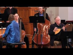 Vivaldi: Concerto in C Major for harpsichord & baroque mandolin. II. Largo RV 557/R 8K