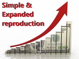 Guide to Marxist Economics - Ep 16. (Accumulation & Impoverishment)